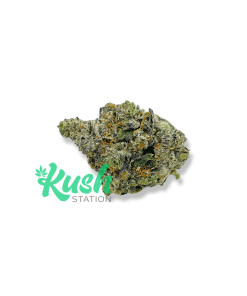 Comatose | Indica | Kush Station | Buy Weed Online