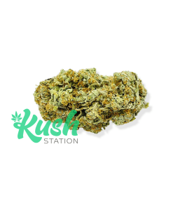 Sugar Cookies | Hybrid | Kush Station | Buy Weed Online