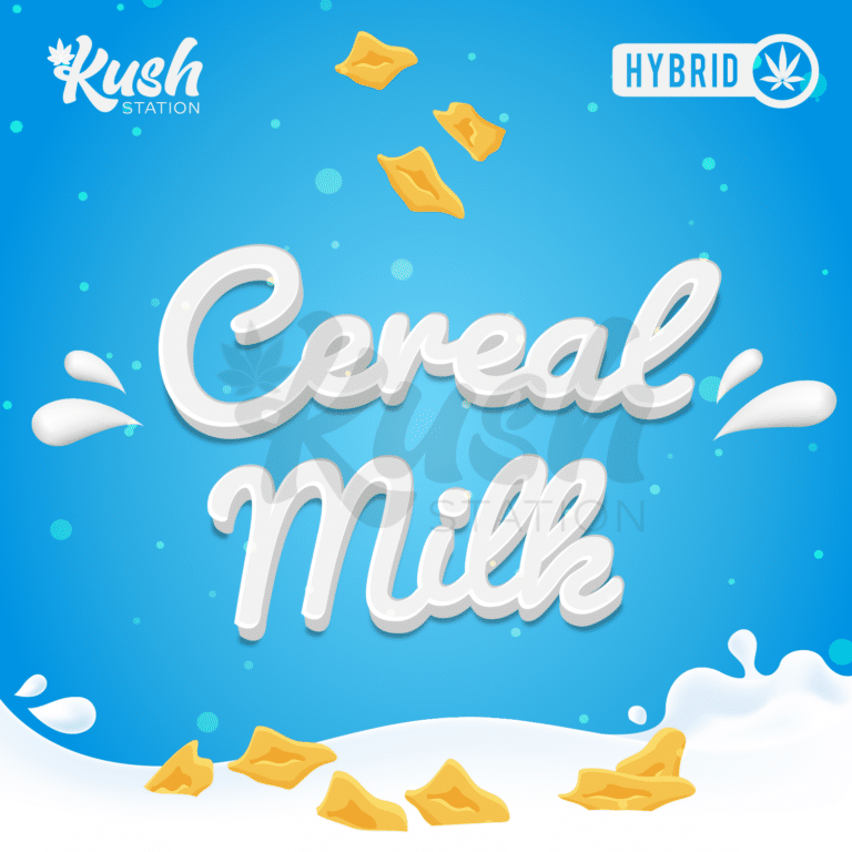 Cereal Milk Buy Cereal Milk Cannabis Strain Online Kush Station