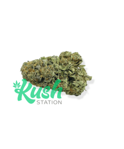 Rockstar | Indica | Kush Station | Buy Weed Online