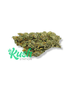 Super Lemon Meringue | Sativa | Kush Station | Buy Weed Online