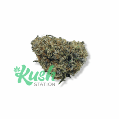 Berry White | Hybrid | Kush Station | Buy Weed Online