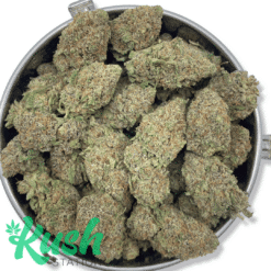 Critical | Indica | Kush Station | Buy Weed Online