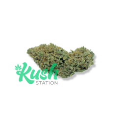 Critical | Indica | Kush Station | Buy Weed Online