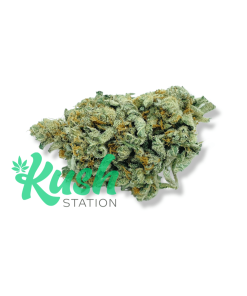 Alien Kush | Hybrid | Kush Station | Buy Weed Online