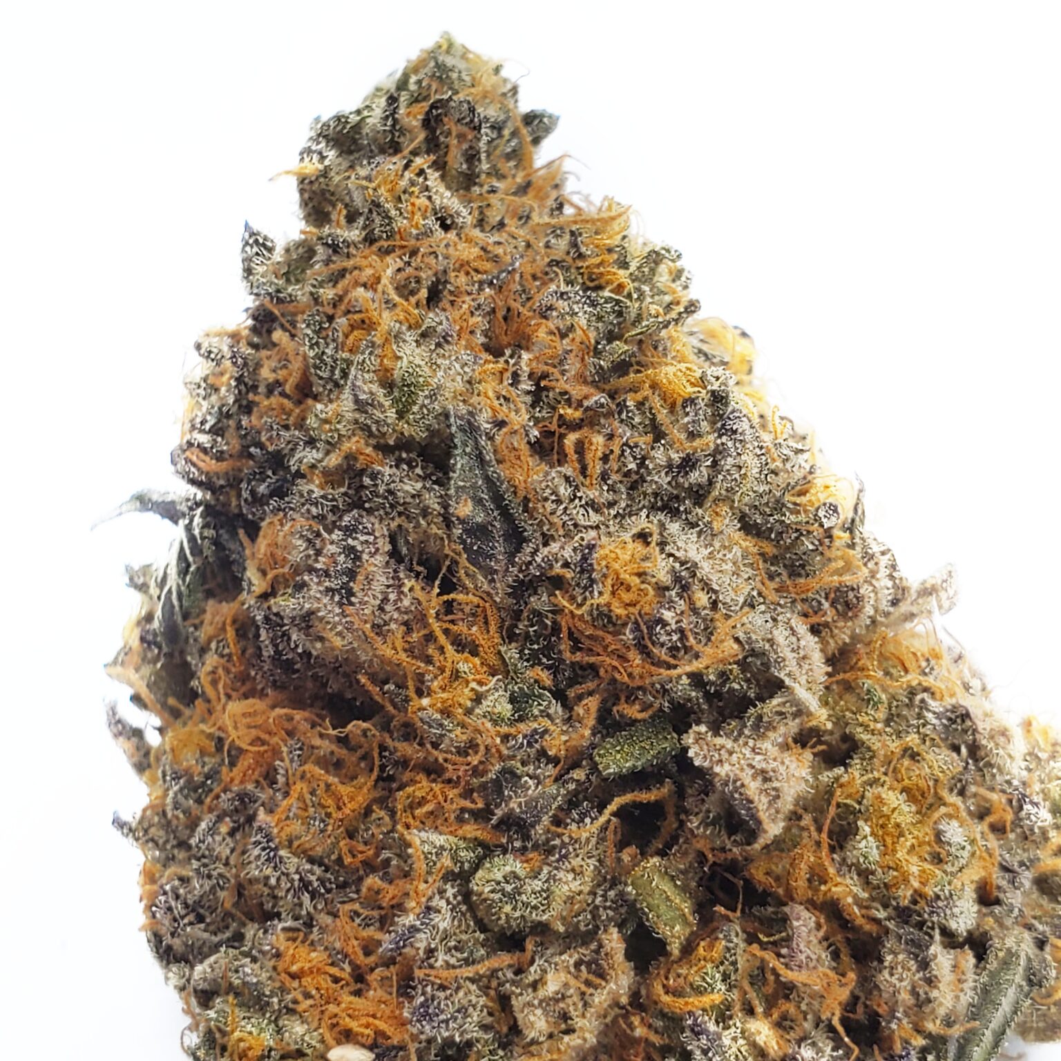 Gelato Strain | Buy Gelato Strain Online |Kush Station Gelato Strains