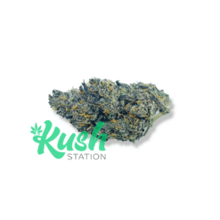 Funky Charms | Indica | Kush Station | Buy Weed Online