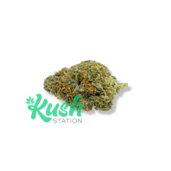 Tuna Bubba | Indica | Kush Station | Buy Weed Online