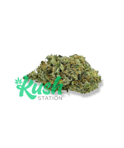Jack Herer | Sativa | Kush Station | Buy Weed Online