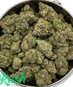 Jack Herer | Sativa | Kush Station | Buy Weed Online