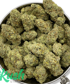 Gorilla Cookies | Hybrid | Kush Station | Buy Weed Online