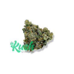 Hidden Pastry | Hybrid | Kush Station | Buy Weed Online