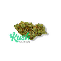 Pink Kush | Indica | Kush Station | Buy Weed Online