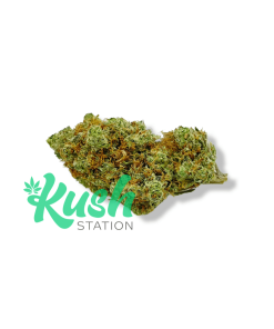 Pink Kush | Indica | Kush Station | Buy Weed Online