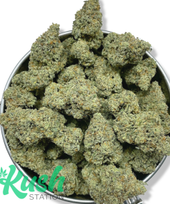 Jealousy 77 | Indica | Kush Station | Buy Weed Online
