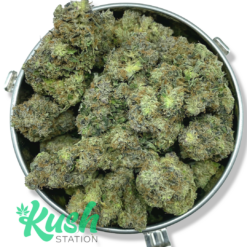 Platinum Rockstar | Indica | Kush Station | Buy Weed Online