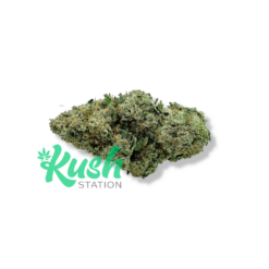 Jet Fuel | Sativa | Kush Station | Buy Weed Online