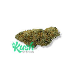 White Widow | Hybrid | Kush Station | Buy Weed Online