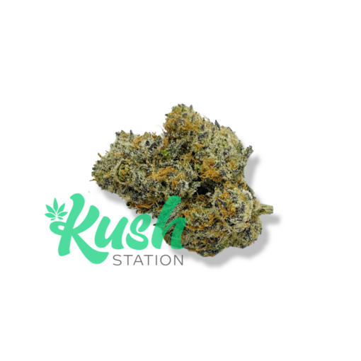 Northern Lights | Indica | Kush Station | Buy Weed Online