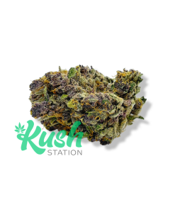 Triceratops | Indica | Kush Station | Buy Weed Online