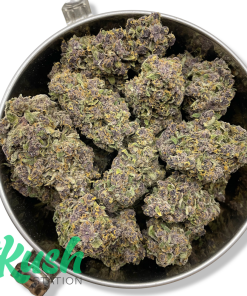Triceratops | Indica | Kush Station | Buy Weed Online