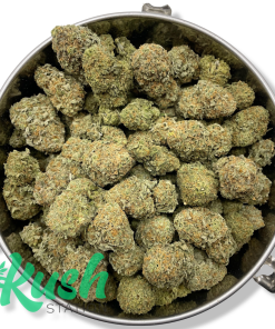 Platinum Girl Scout Cookies | Hybrid | Kush Station | Buy Weed Online