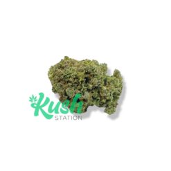 Cinderella 99 | Sativa | Kush Station | Buy Weed Online