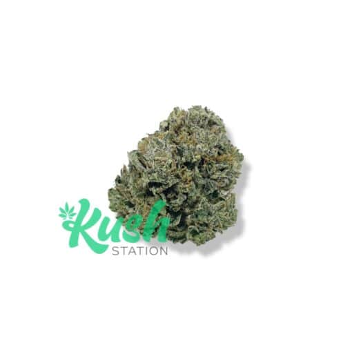 Rockstar | Indica | Kush Station | Buy Weed Online