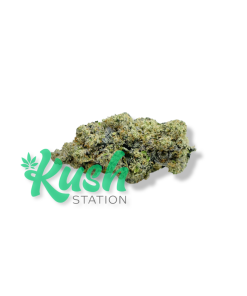 Modified Bananas | Indica | Kush Station | Buy Weed Online