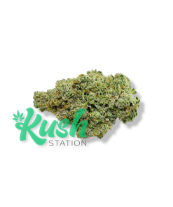 Sumo | Sativa | Kush Station | Buy Weed Online