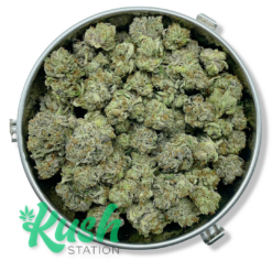 Ahi Tuna | Indica | Kush Station | Buy Weed Online