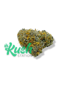 Mac | Hybrid | Kush Station | Buy Weed Online