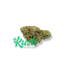 Red Congolese | Sativa | Kush Station | Buy Weed Online