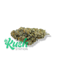 Candyland | Sativa | Kush Station | Buy Weed Online