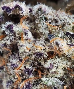 Kush Station Death Punch Strain AAAA indica