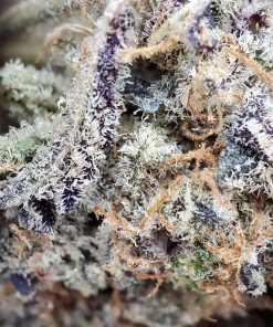 Kush Station Death Punch Strain AAAA indica