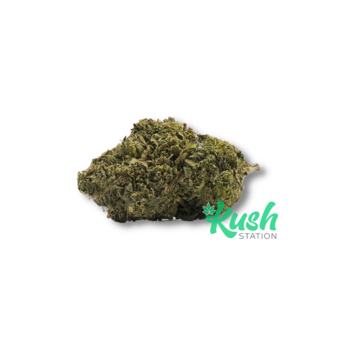 OG Shark | Indica | Kush Station | Buy Weed Online