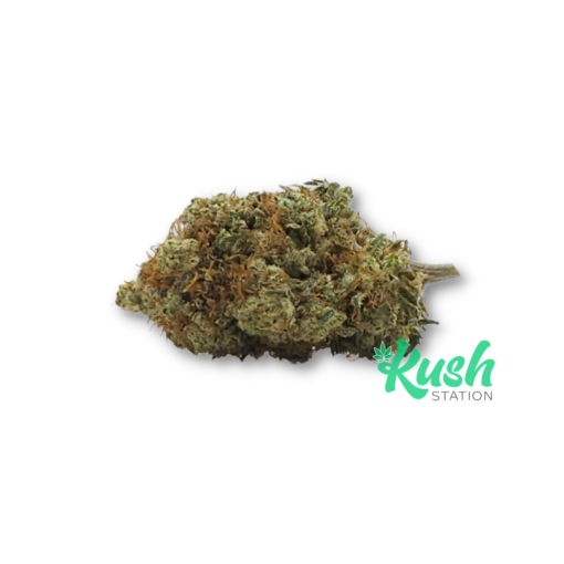 Red Congo | Sativa | Kush Station | Buy Weed Online