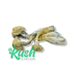 ATC | Magic Mushrooms | Kush Station | Buy Magic Mushrooms Online