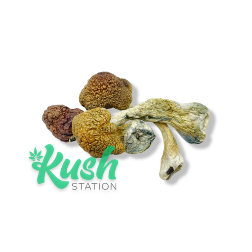 Blue Meanies | Magic Mushrooms | Kush Station | Buy Magic Mushrooms Online