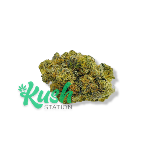 Hash Plant | Indica | Kush Station | Buy Weed Online