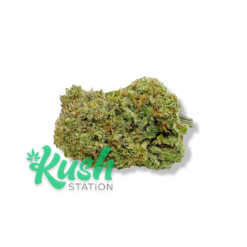 Lemon Sour Diesel | Sativa | Kush Station | Buy Weed Online