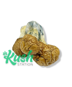 Mel | Magic Mushrooms | Kush Station | Buy Magic Mushrooms Online