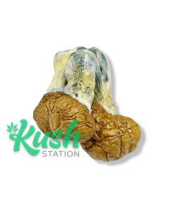 Mel | Magic Mushrooms | Kush Station | Buy Magic Mushrooms Online