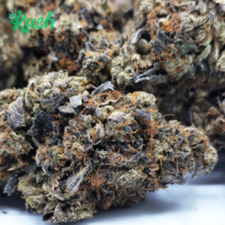 Black Tuna | Indica | Kush Station | Buy Weed Online In Canada