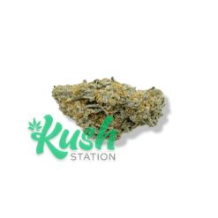 Sugar Cane | Hybrid | Kush Station | Buy Weed Online