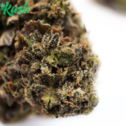 OG Kush | Hybrid | Kush Station | Buy Weed Online Canada