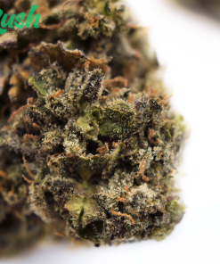 OG Kush | Hybrid | Kush Station | Buy Weed Online Canada