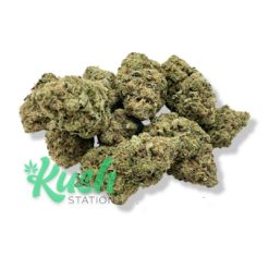 Tropic Truffle | Sativa | Kush Station | Buy Weed Online In Canada