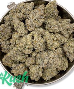 Cold Snap | Hybrid | Kush Station | Buy Weed Online In Canada